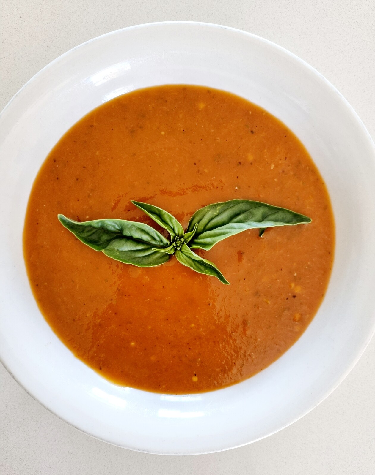 Tomato Basil Soup | HAPPY AND HEALTHY WITH JEN | Jen Knutson