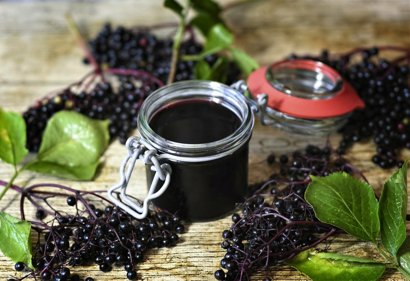 Elderberries and a New Take on an Old Memory