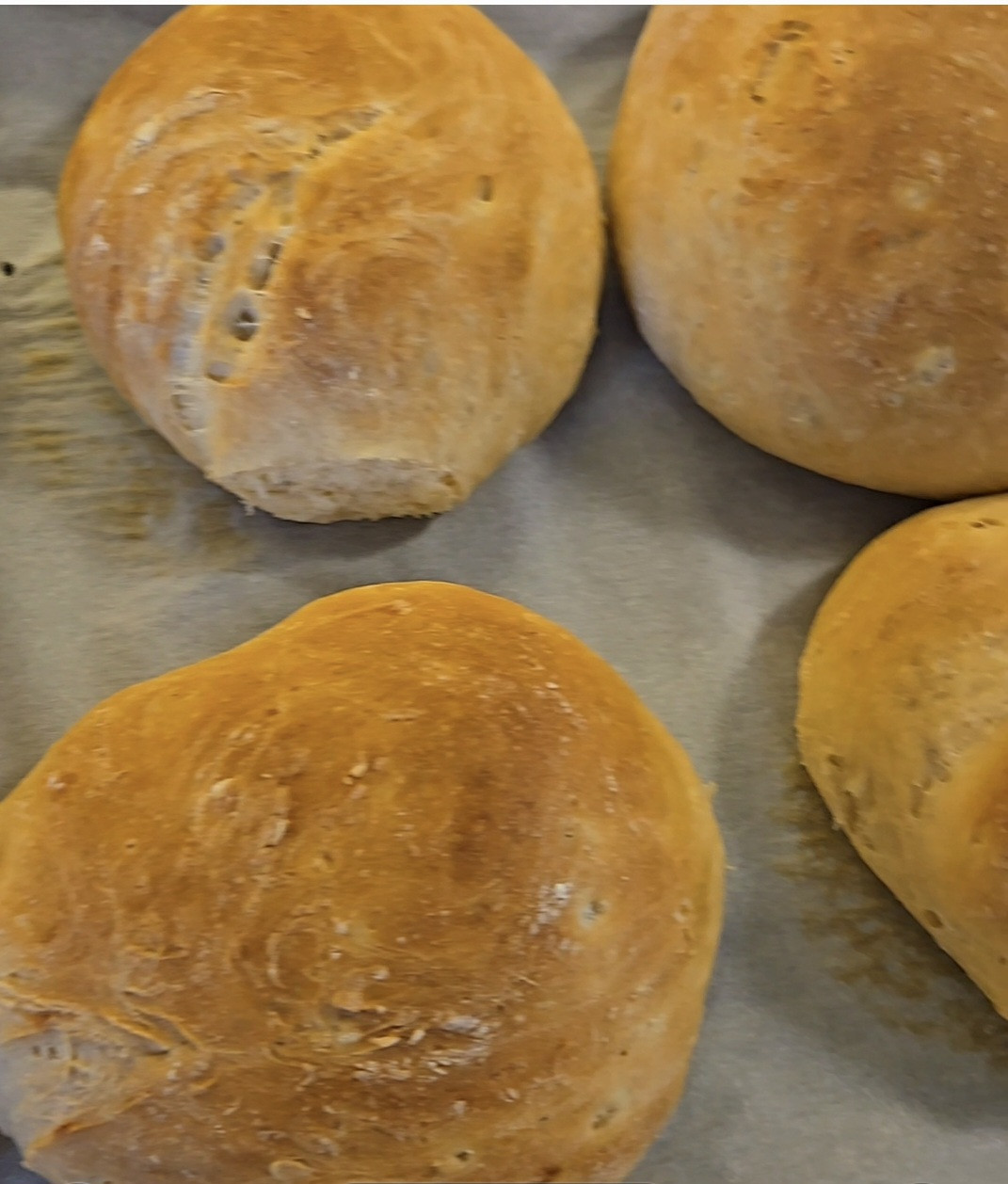 Homemade Potato Buns