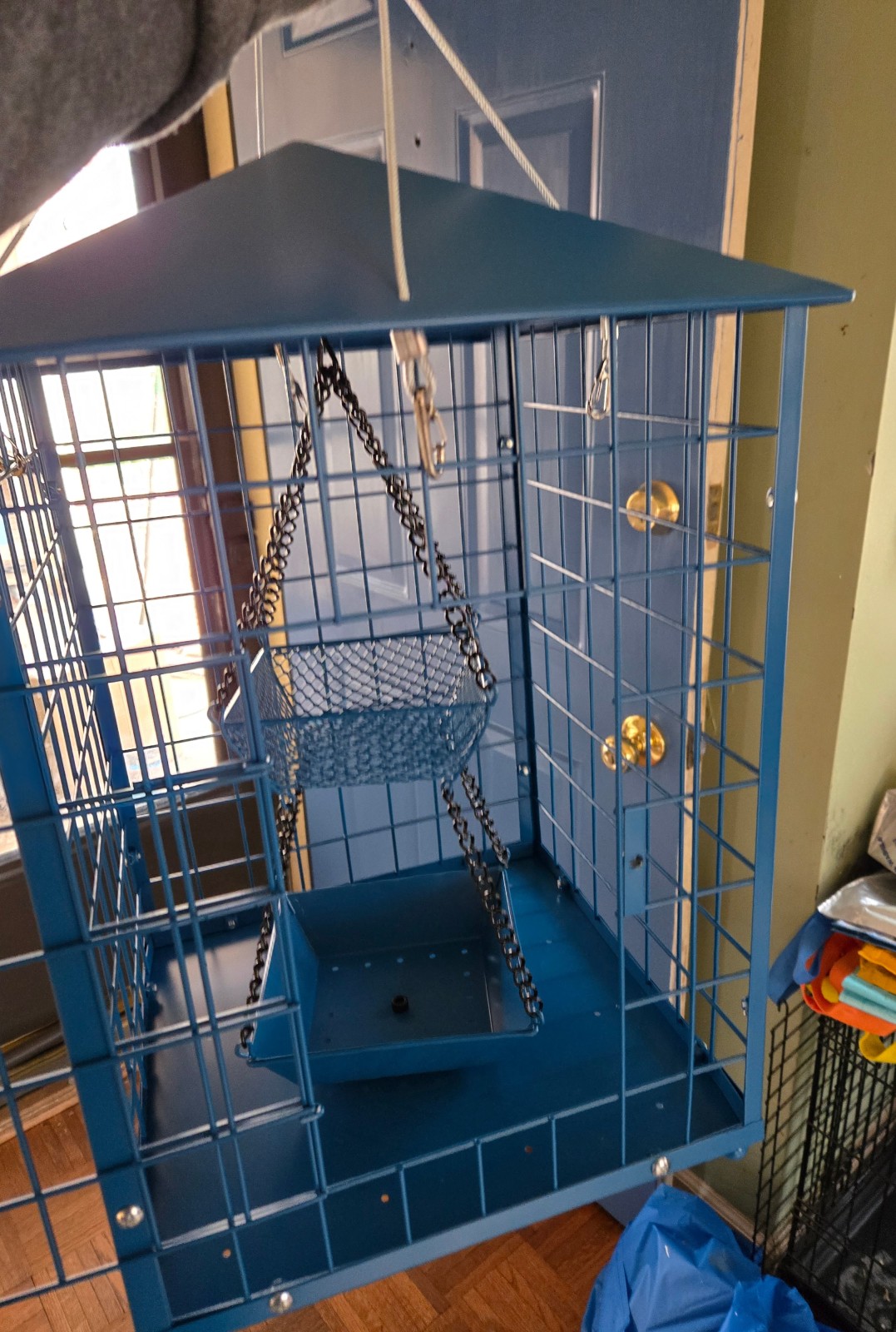 Bluebirds Always Bring Me Back