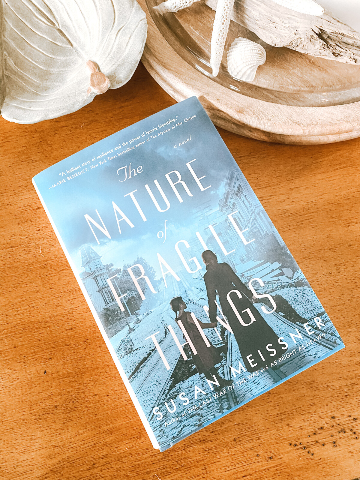 book the nature of fragile things