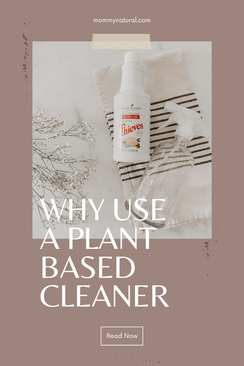 Why Use a Plant Based Cleaner: My Top 5 Plant Based Household Products