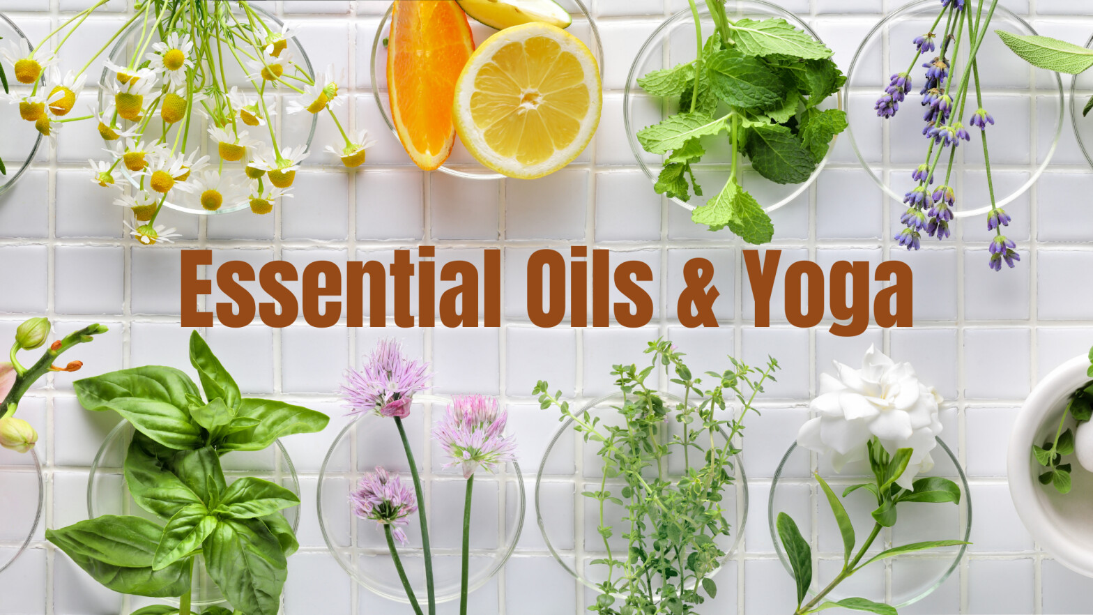 Uniting Mind and Body: The Benefits of Incorporating Essential Oils into Your Yoga Practice