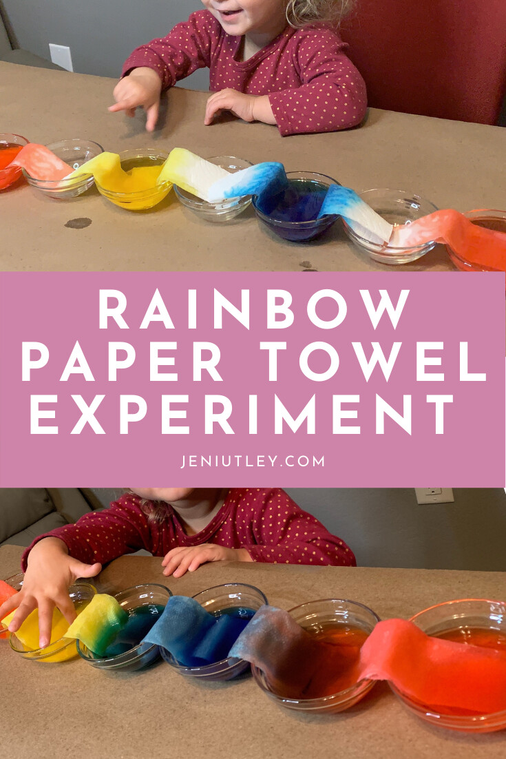 Rainbow Paper Towel Experiment