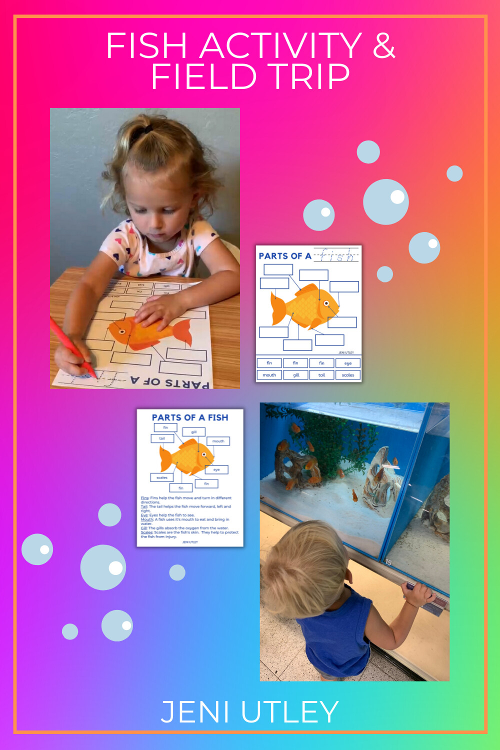Fish Learning Activity and Field Trip Ideas for Toddlers and Preschoolers