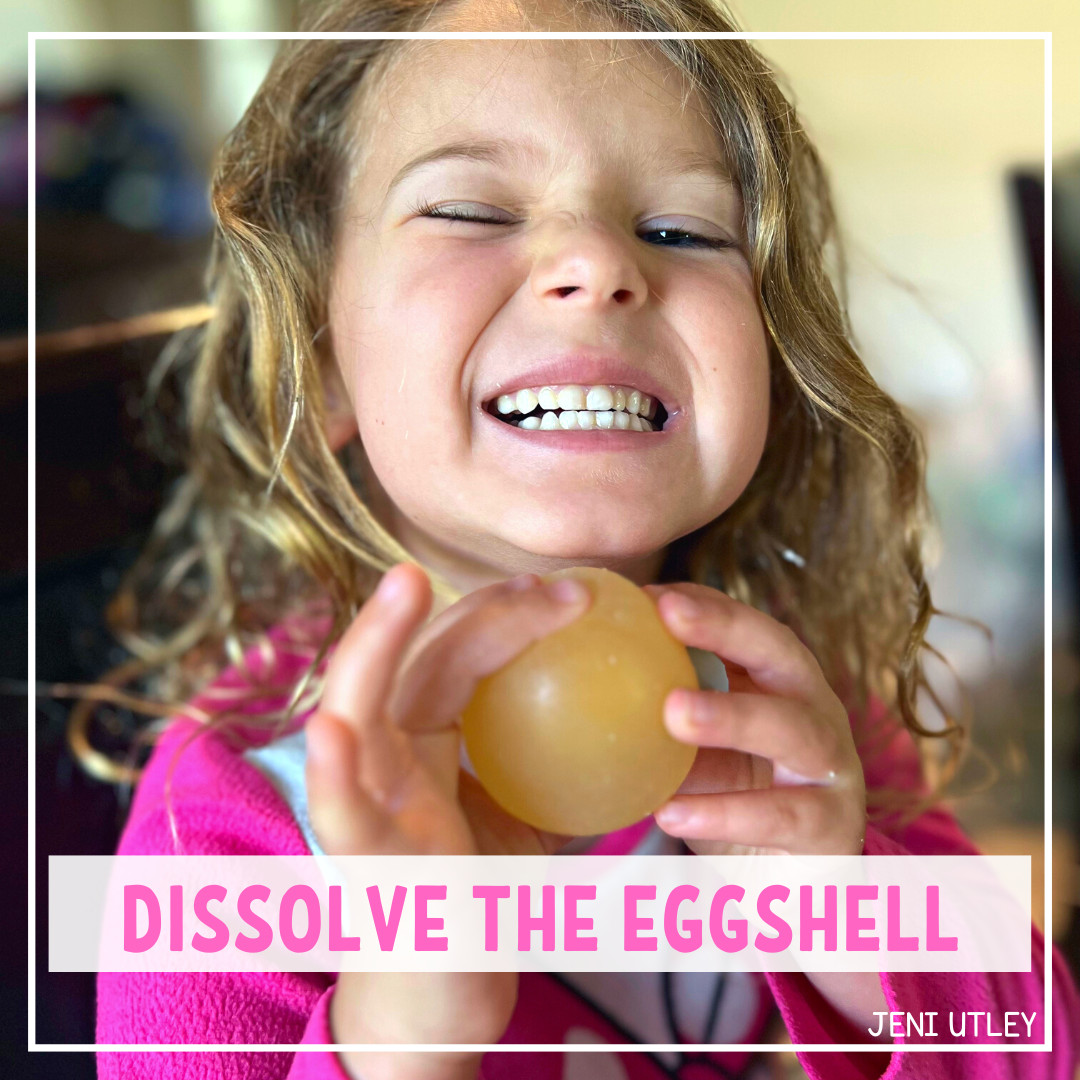 DISSOLVE THE EGGSHELL SCIENCE ACTIVITY