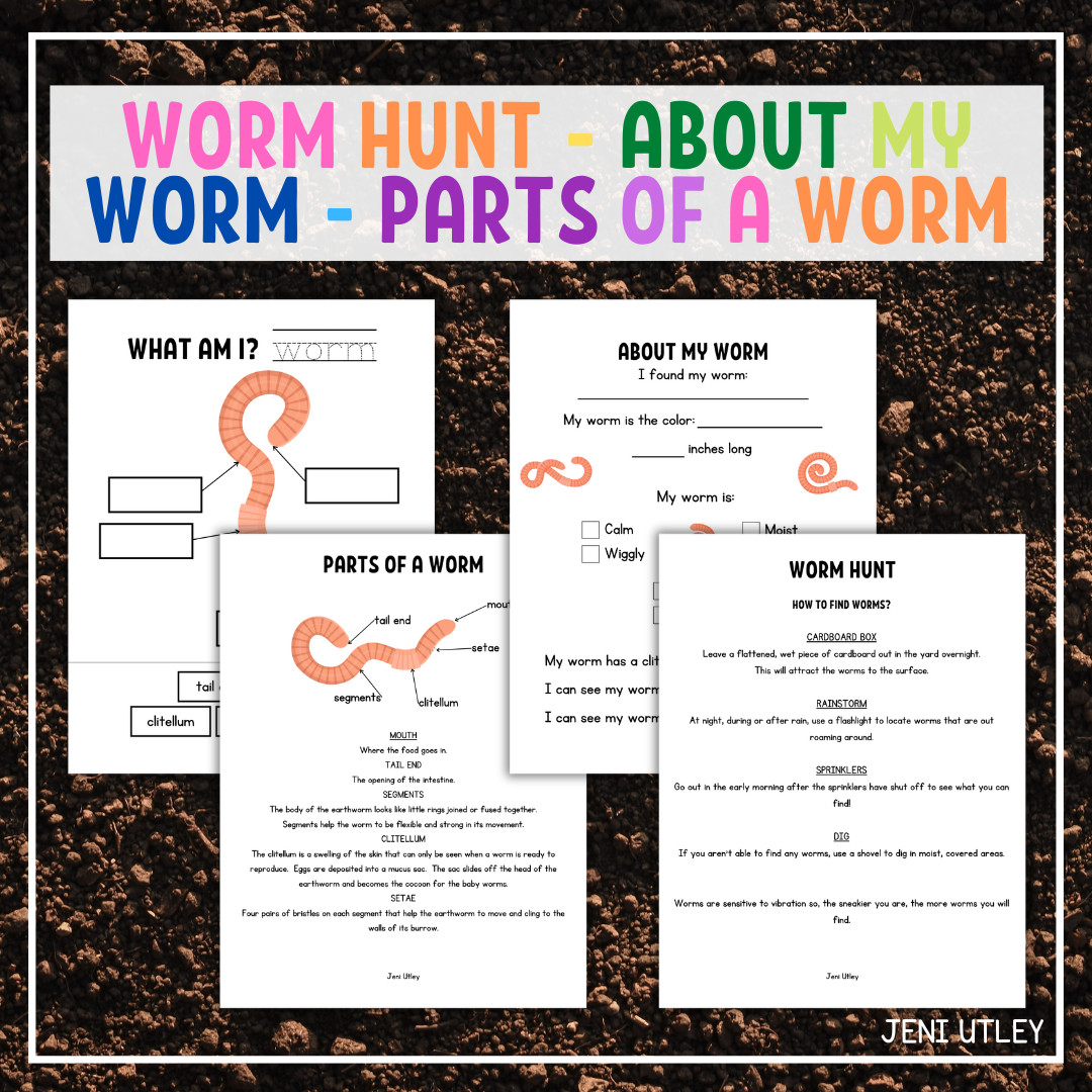 Worm Hunt & Parts of a Worm Activity for Preschoolers