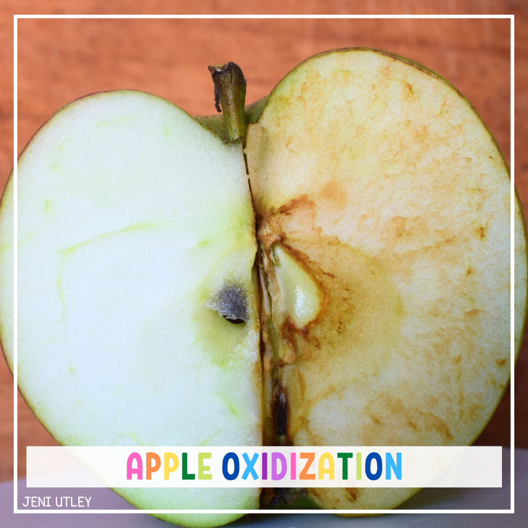 Discovering Apple Oxidization: A Fun and Simple Preschool Activity