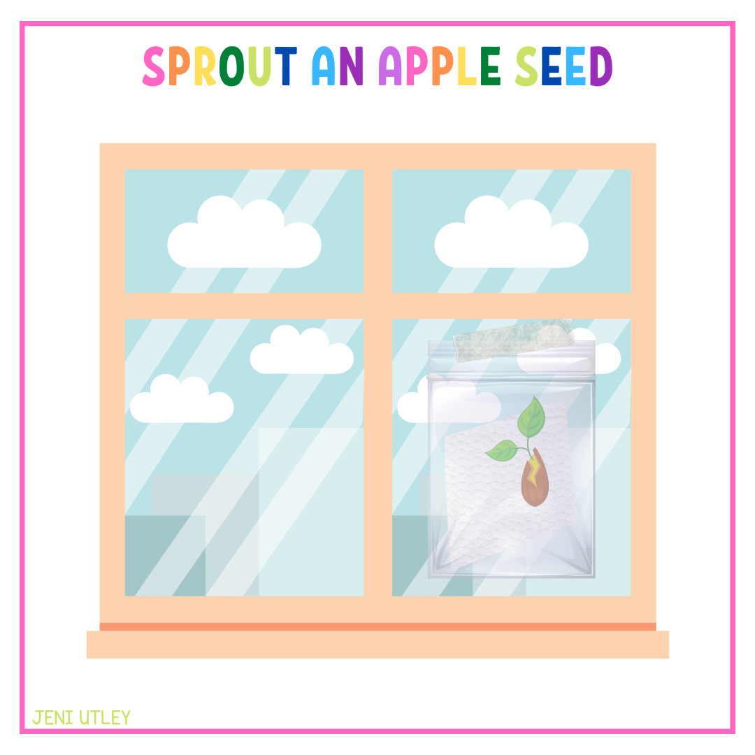 Sprouting an Apple Seed: A Fun Preschool Science Activity