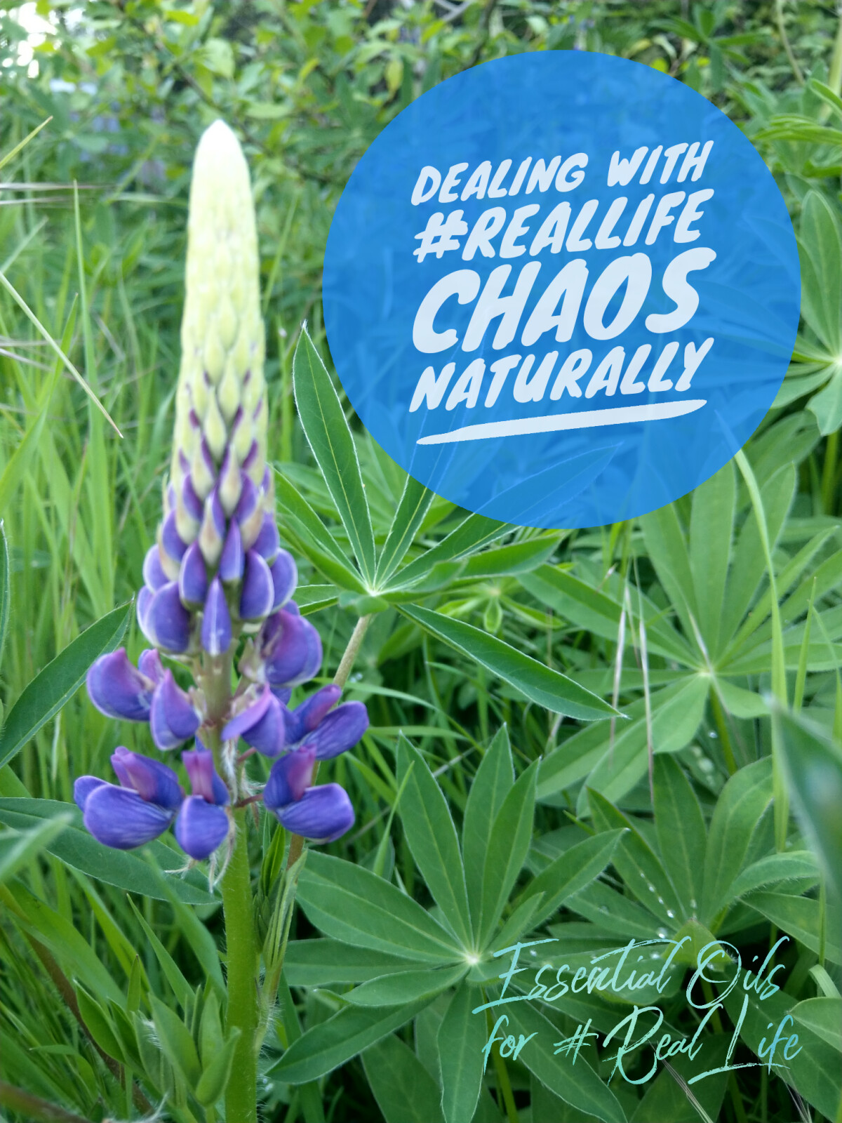 Dealing with #RealLife Chaos Naturally