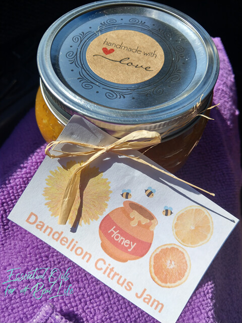 Foraging and Dandelion Citrus Jam