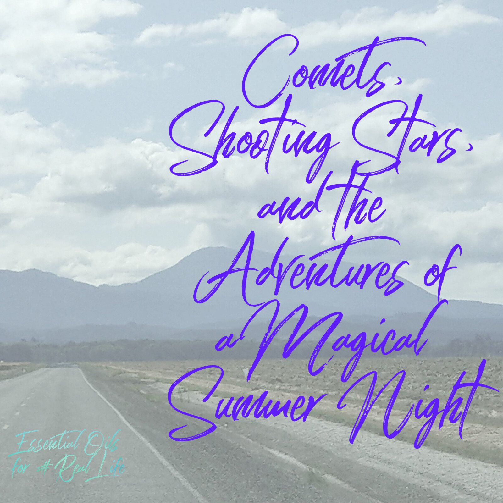 Comets, Shooting Stars, and the Adventures of a Magical Summer Night