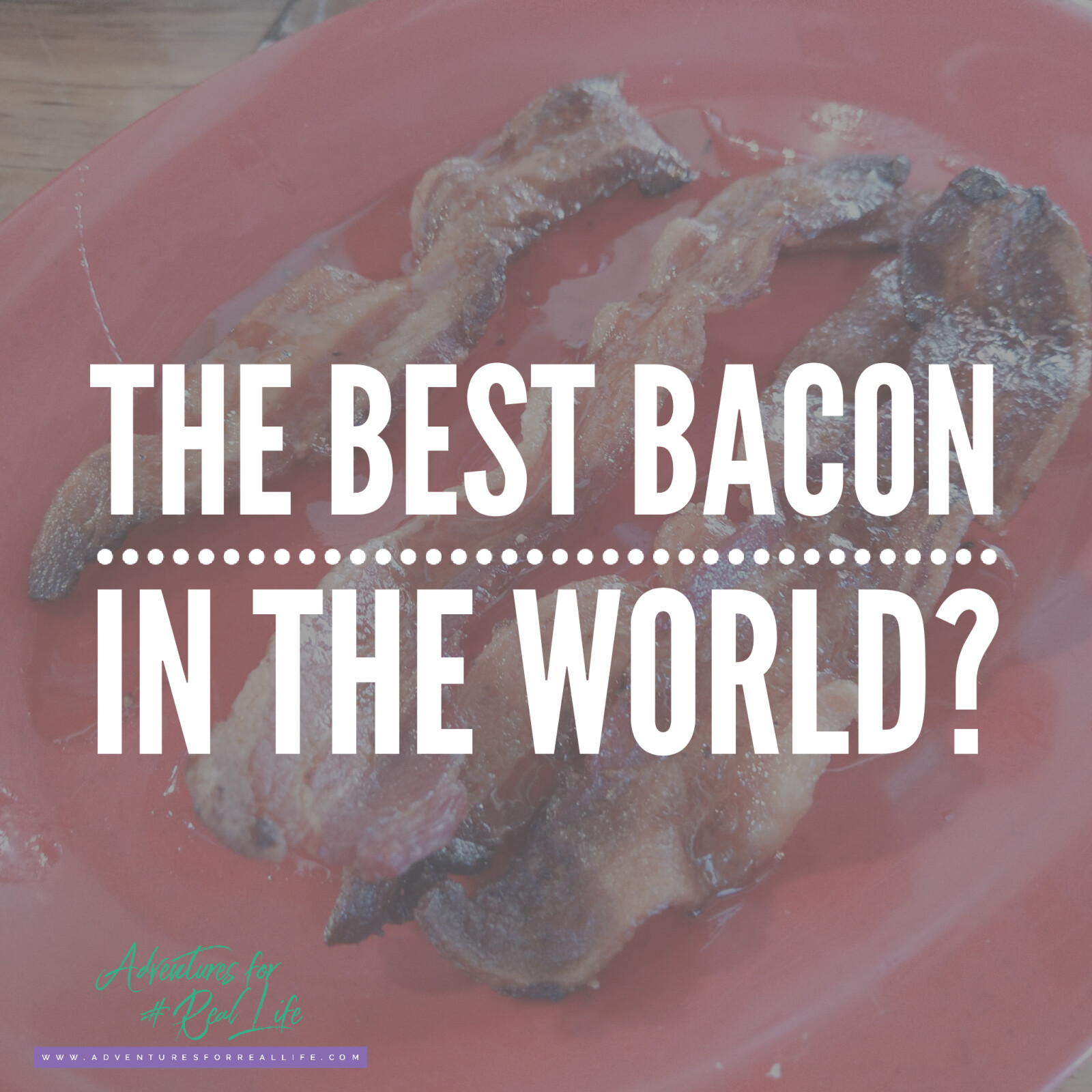 The Best Bacon in the World?