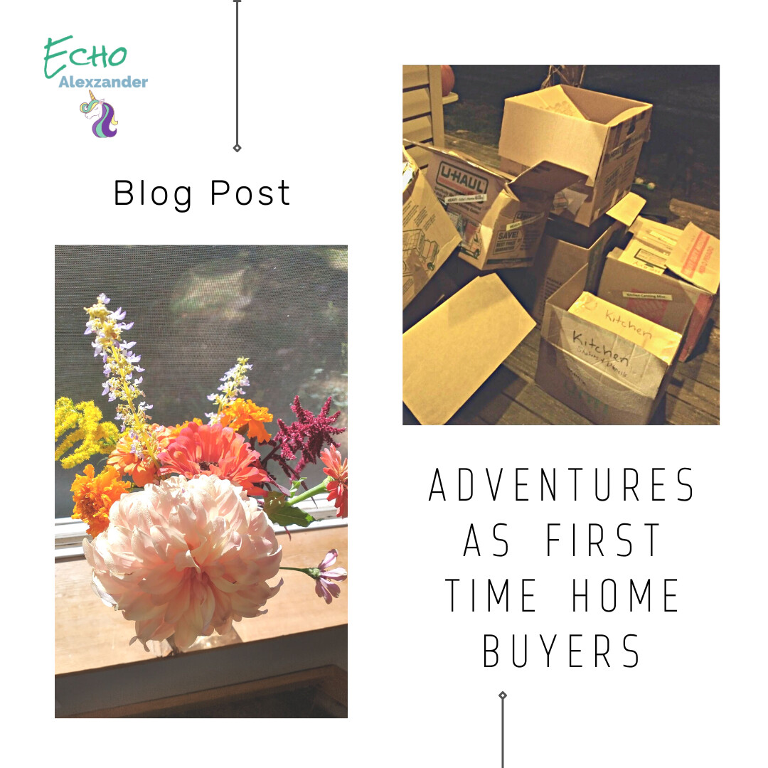 Adventures as First Time Home Buyers