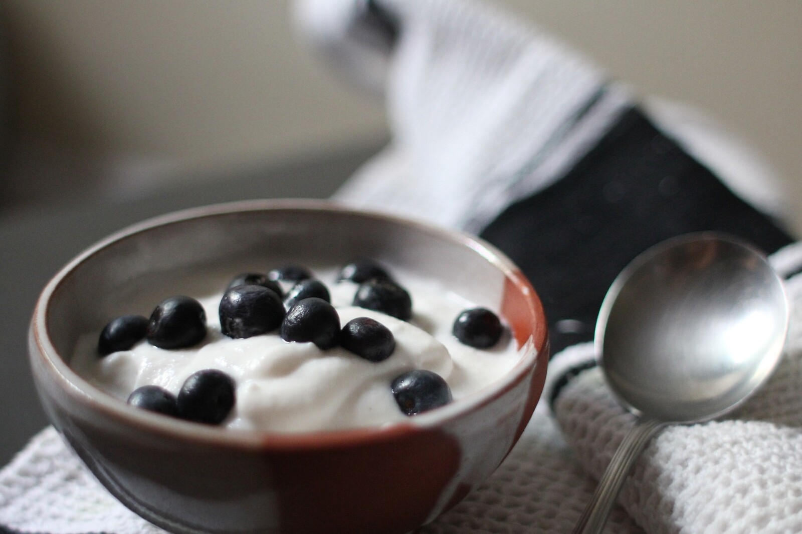 Blueberry Lemon Greek Yogurt