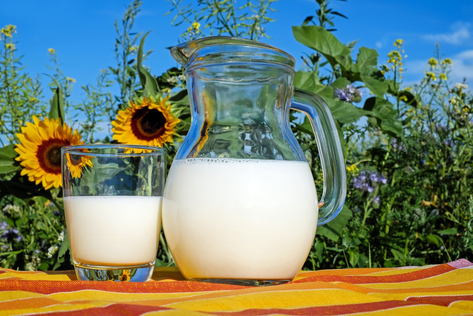 Can Dairy Cause Inflammation?