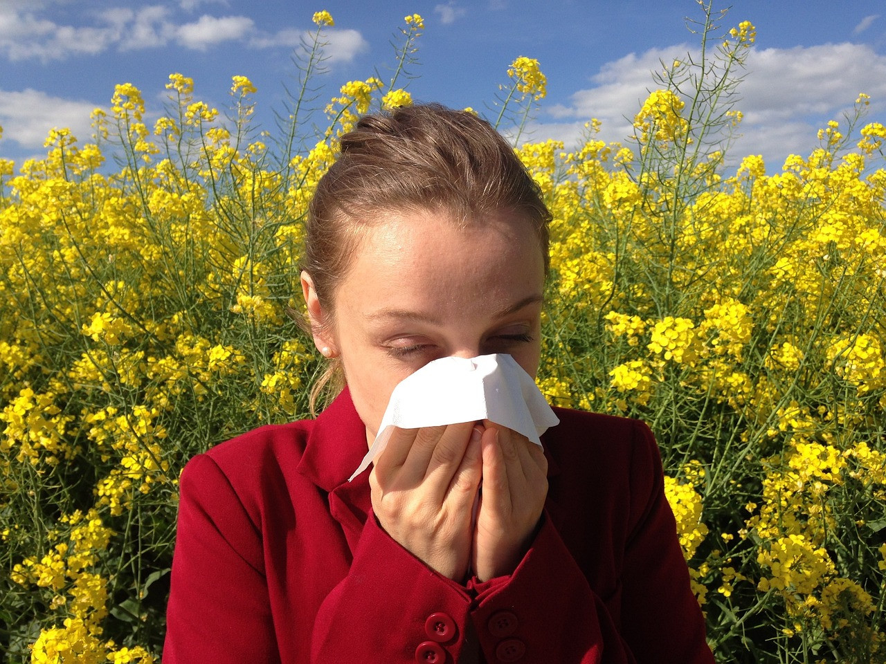 Pollen Allergies: What Happens in Your Body?