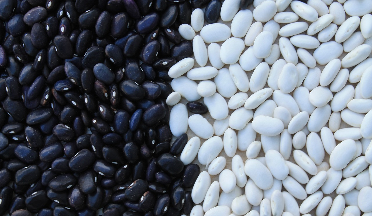 Beans and Lectins: How to Enjoy the Benefits of Beans Safely