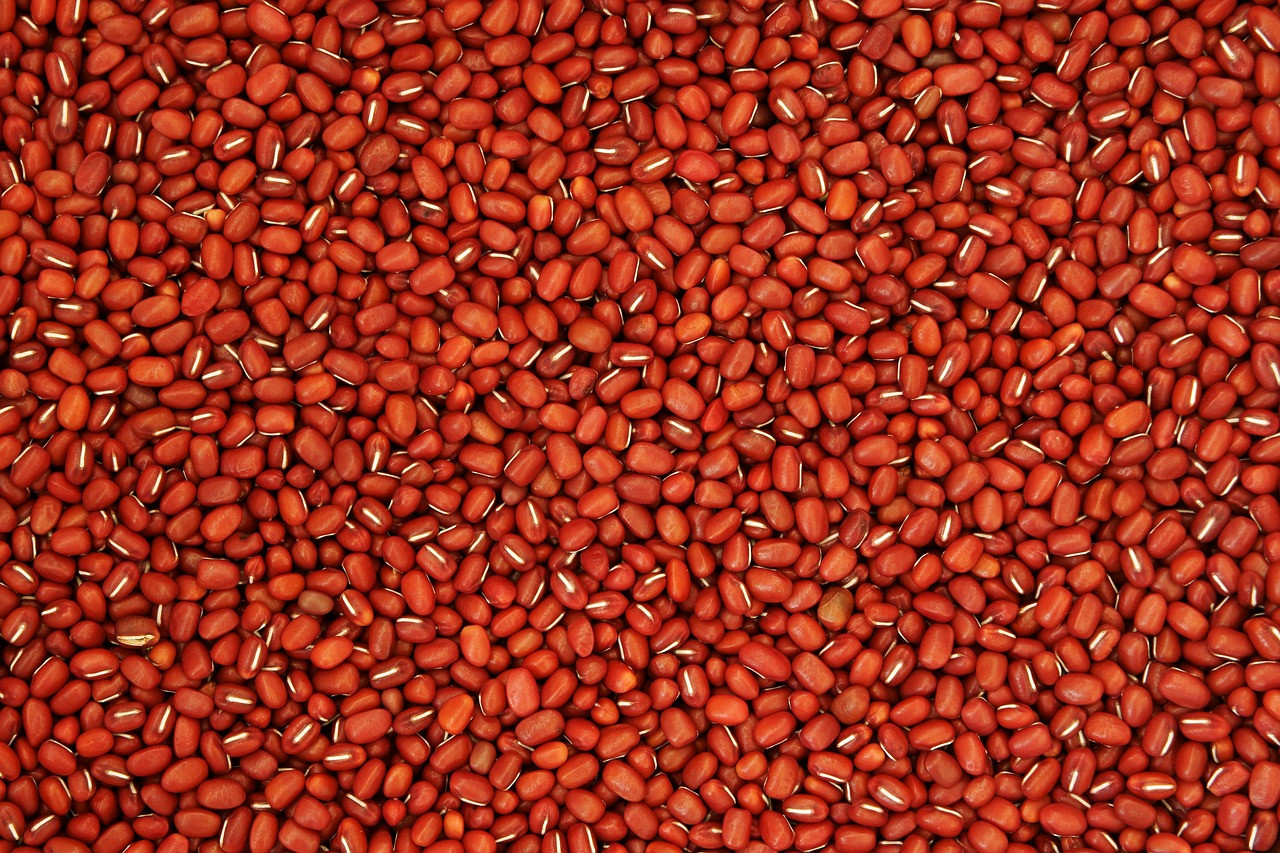 Unlocking the Power of Beans: How to Prepare Them Safely to Remove Lectins