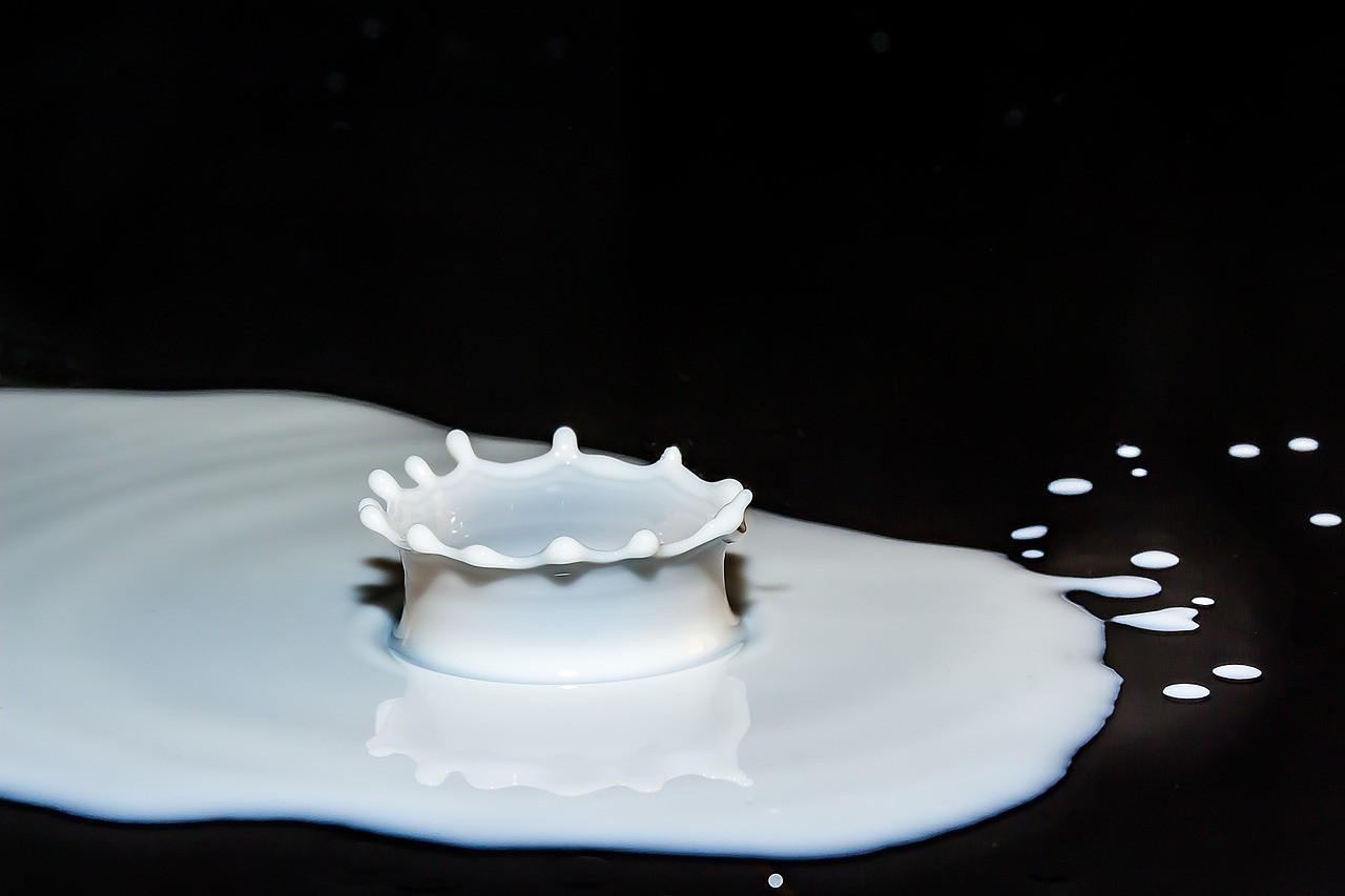 Should humans eat dairy? What are the downsides to eating it?