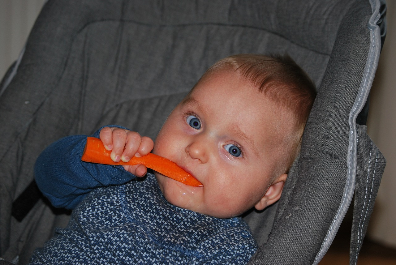 Unlocking the Secrets to Pro Feeding: Nurturing Your Little One's Healthy Eating