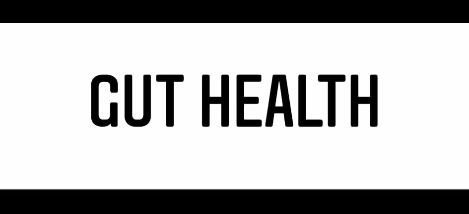Gut Health - support for the upcoming holiday season