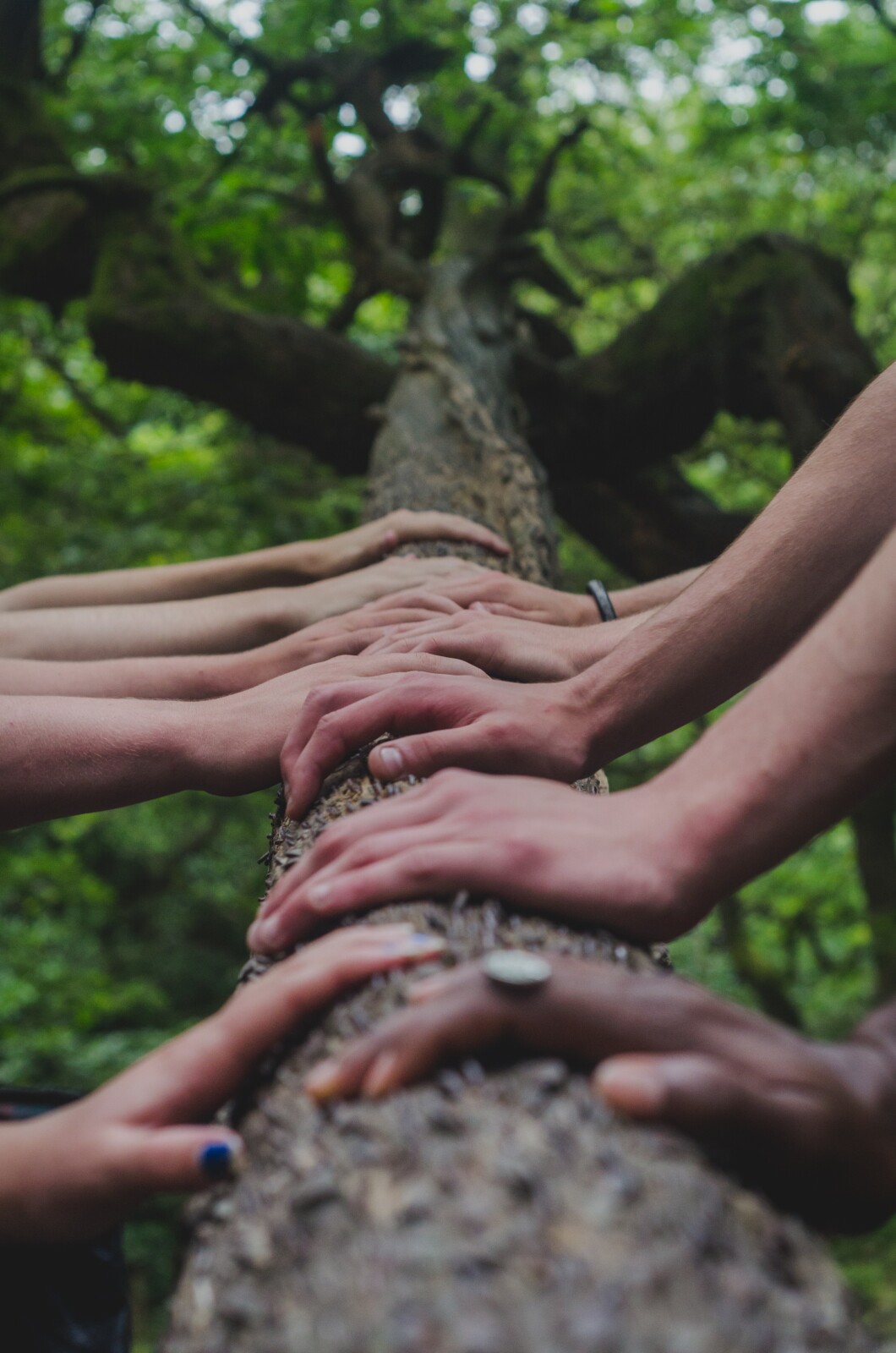 Summer Hands