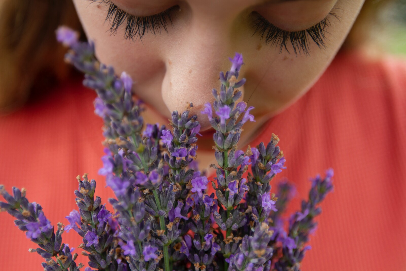 Have you lost your sense of smell?