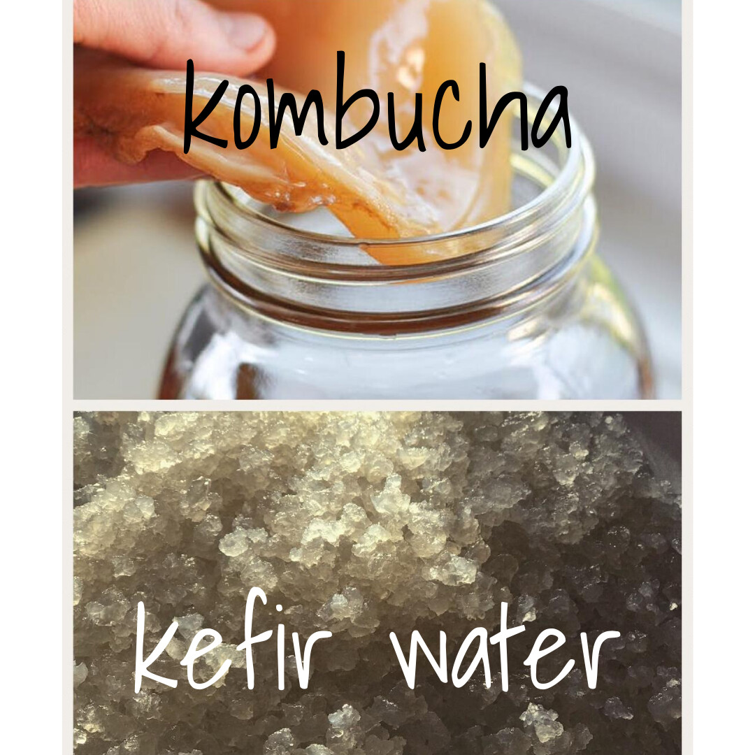 Kefir water vs. Kombucha