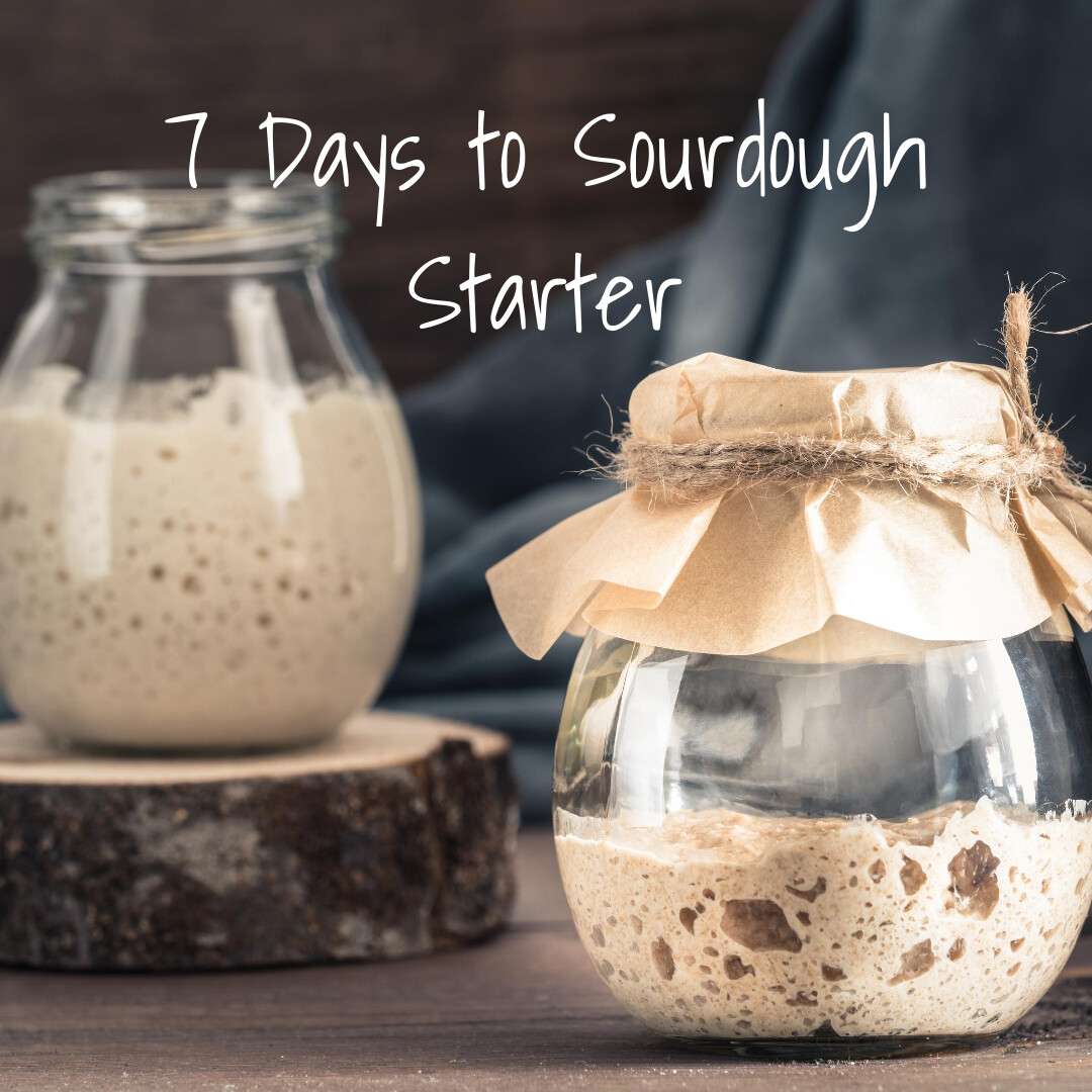 7 Days to a Sourdough Starter