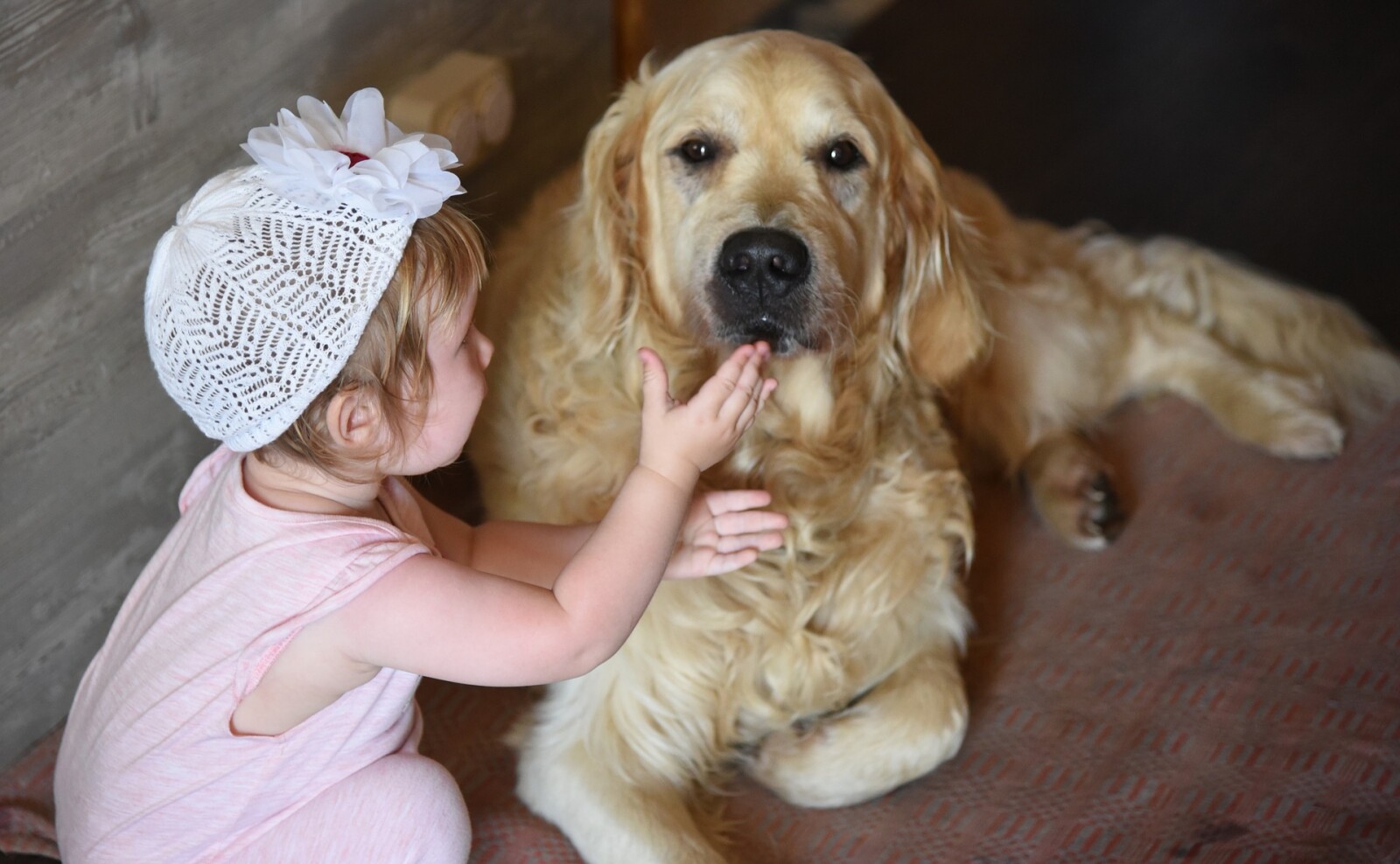 How Pet and Child Friendly Are Your Cleaning Products?