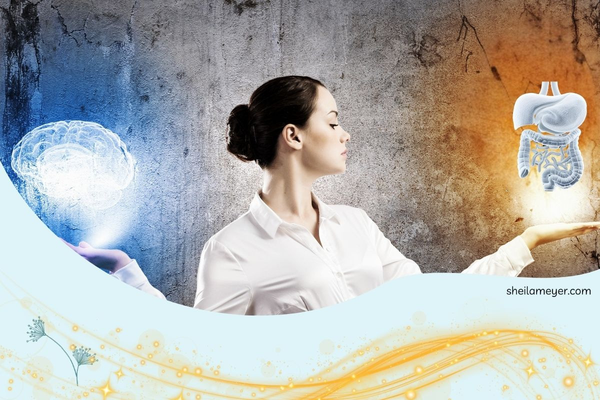 The Gut-Brain Connection: How a Healthy Gut Fuels a Healthier Mind