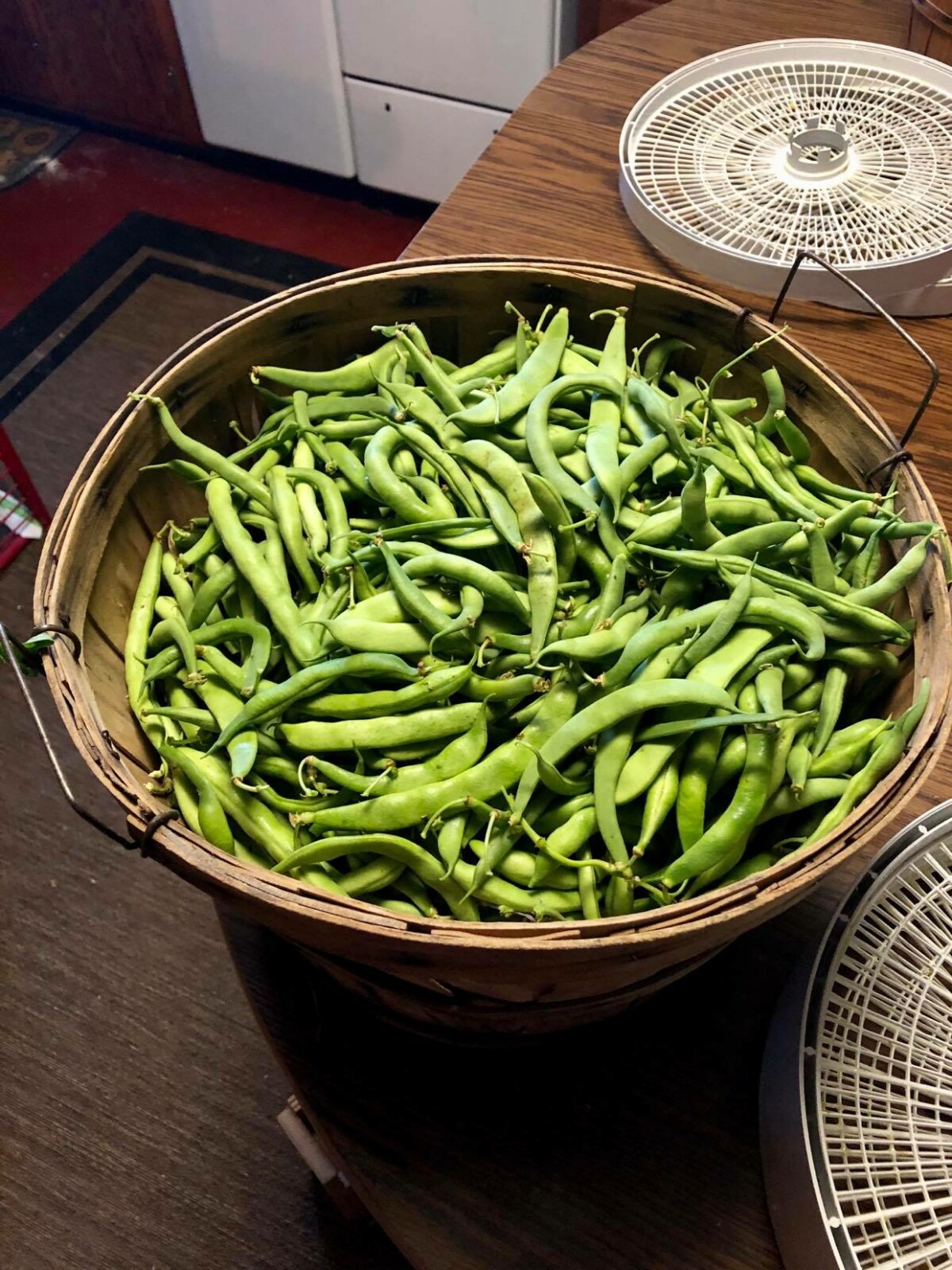 How to Can Green Beans 