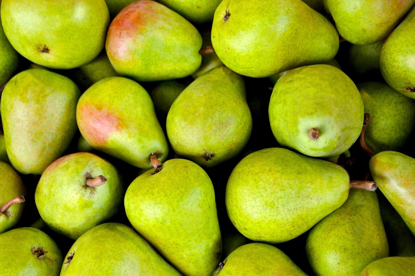 How to dehydrate pears