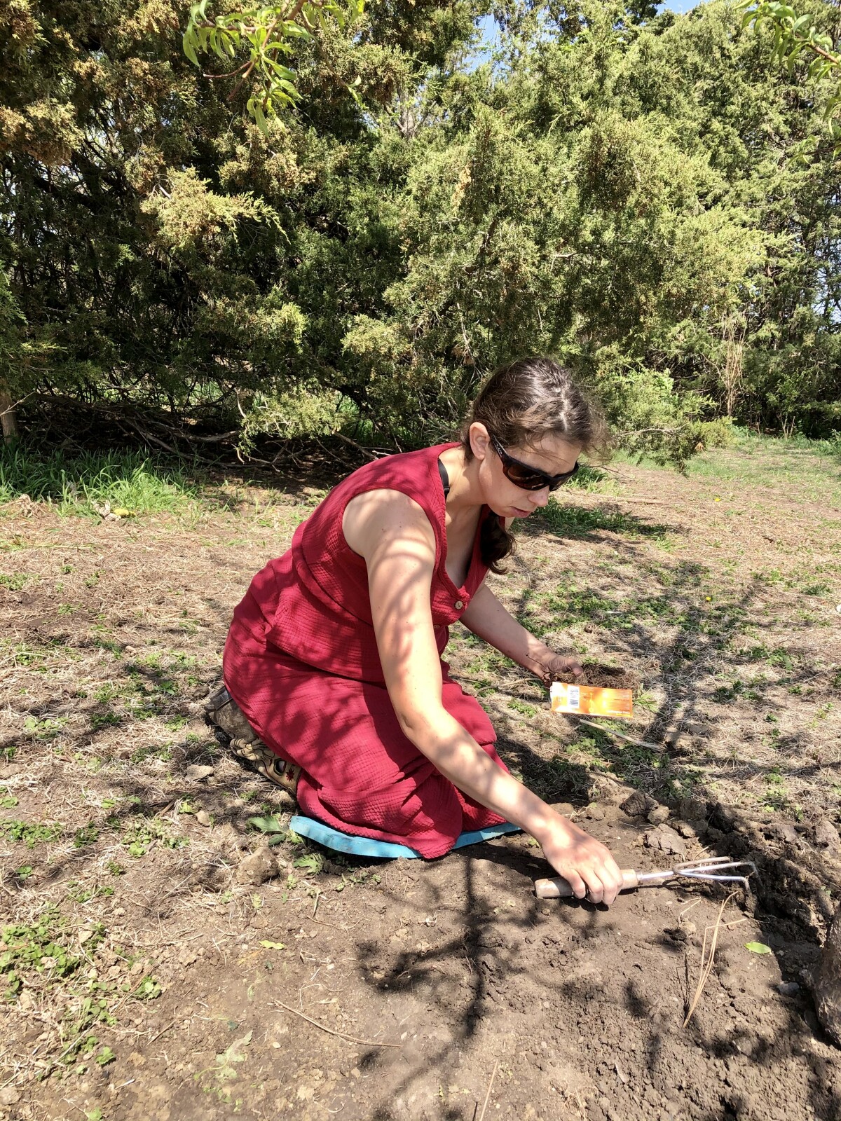 Is Gardening Good for You?