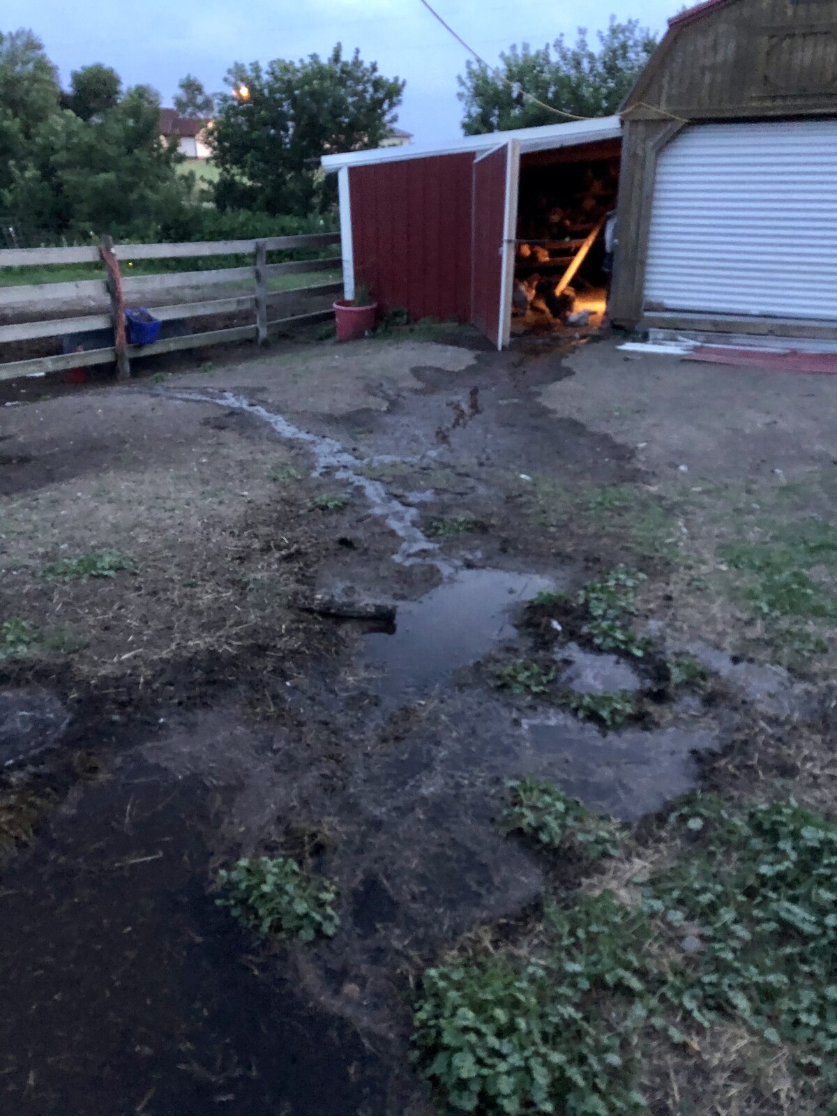 A Summer Evening on our Farmstead