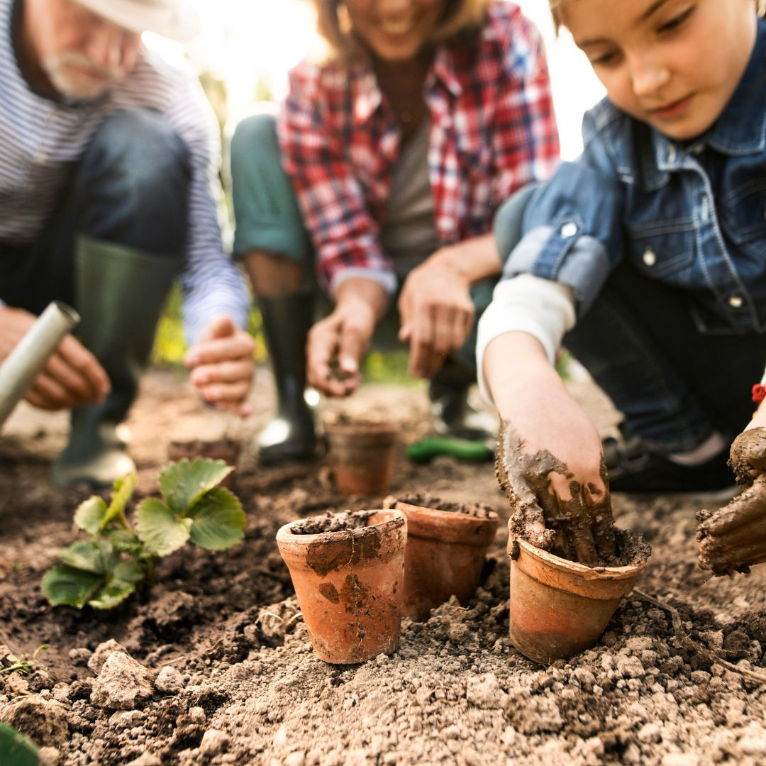 Nurturing Your Family and Your Finances: A Guide to Growing Your Own Food