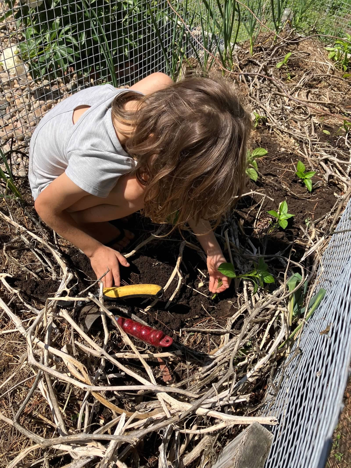 Homeschooling on the Farm: Tips for Busy Moms