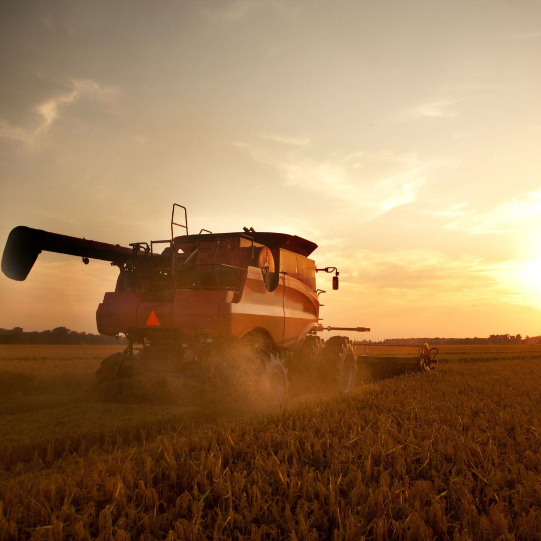 Harvest Tips for Farm Wives