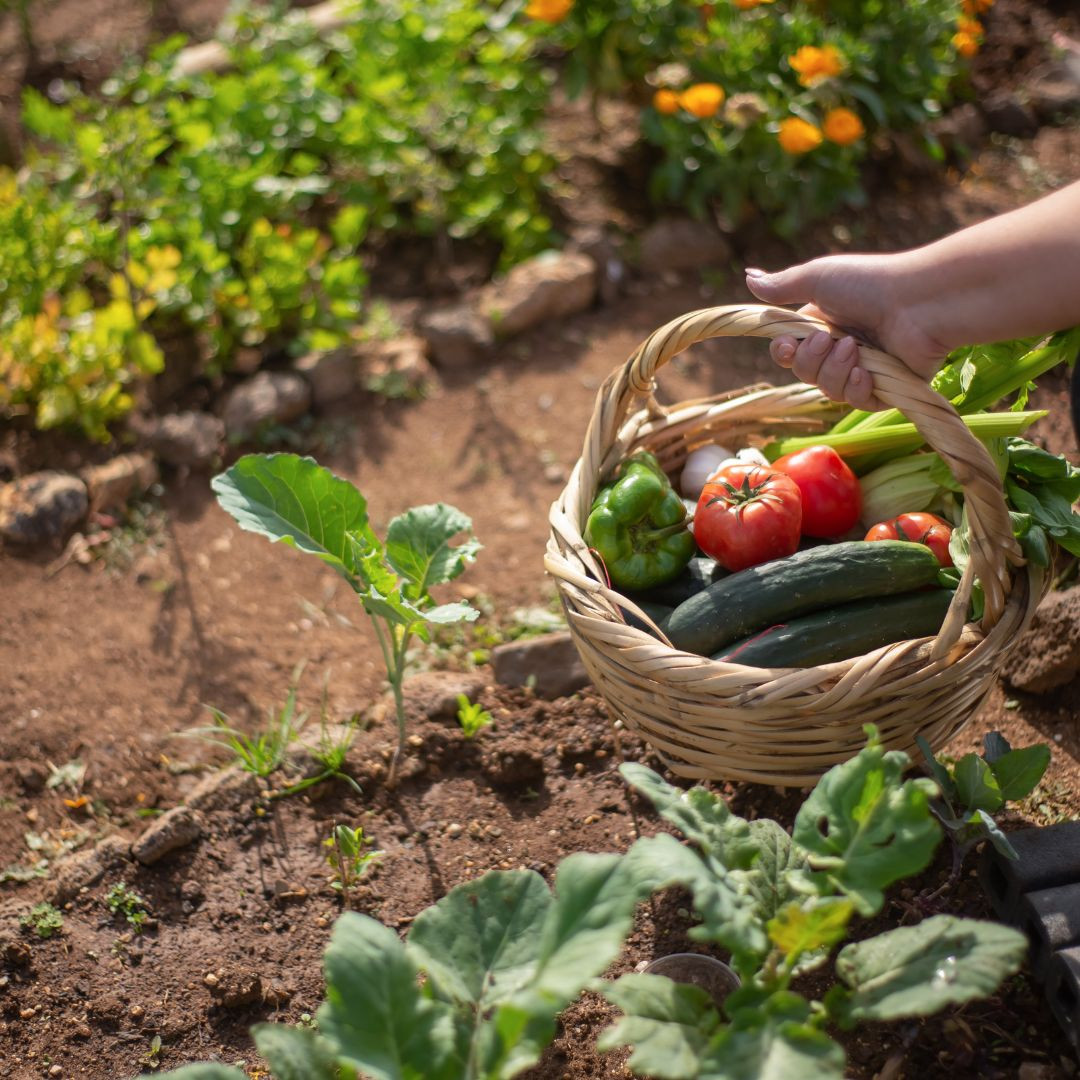 February Garden Planning: Simple Steps for Busy Farm Wives