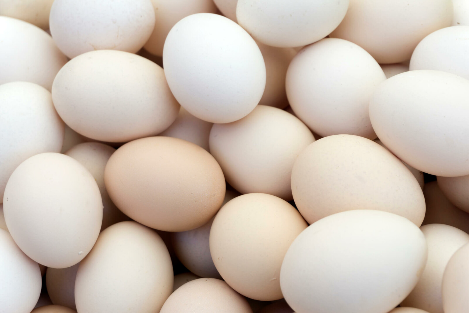 Are eggs good for arthritis?