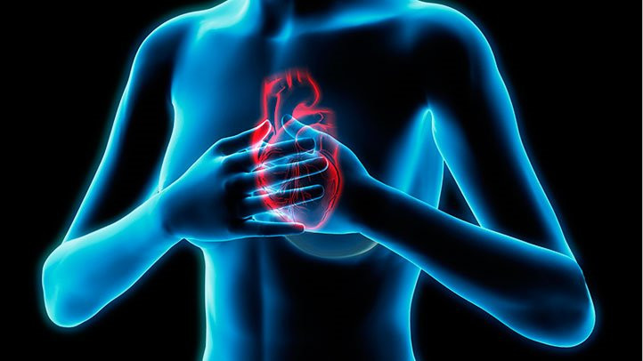 What is the main cause of Coronary Heart Disease?