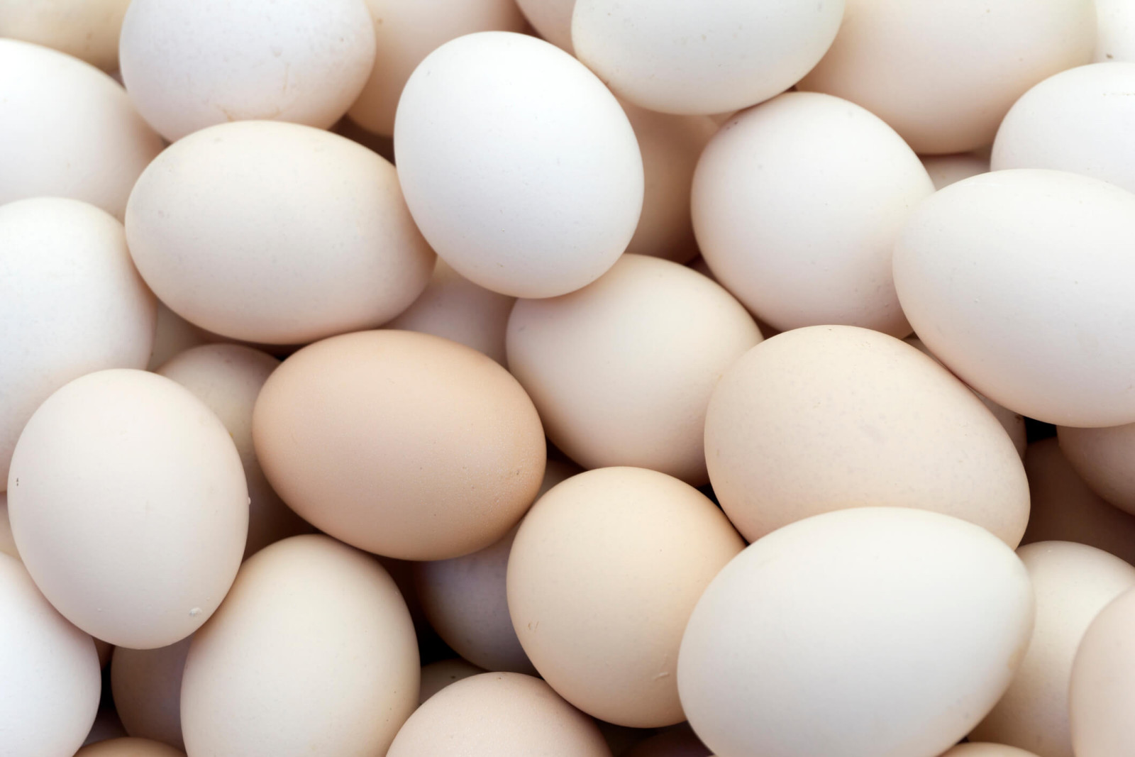 Are Eggs good for the heart?