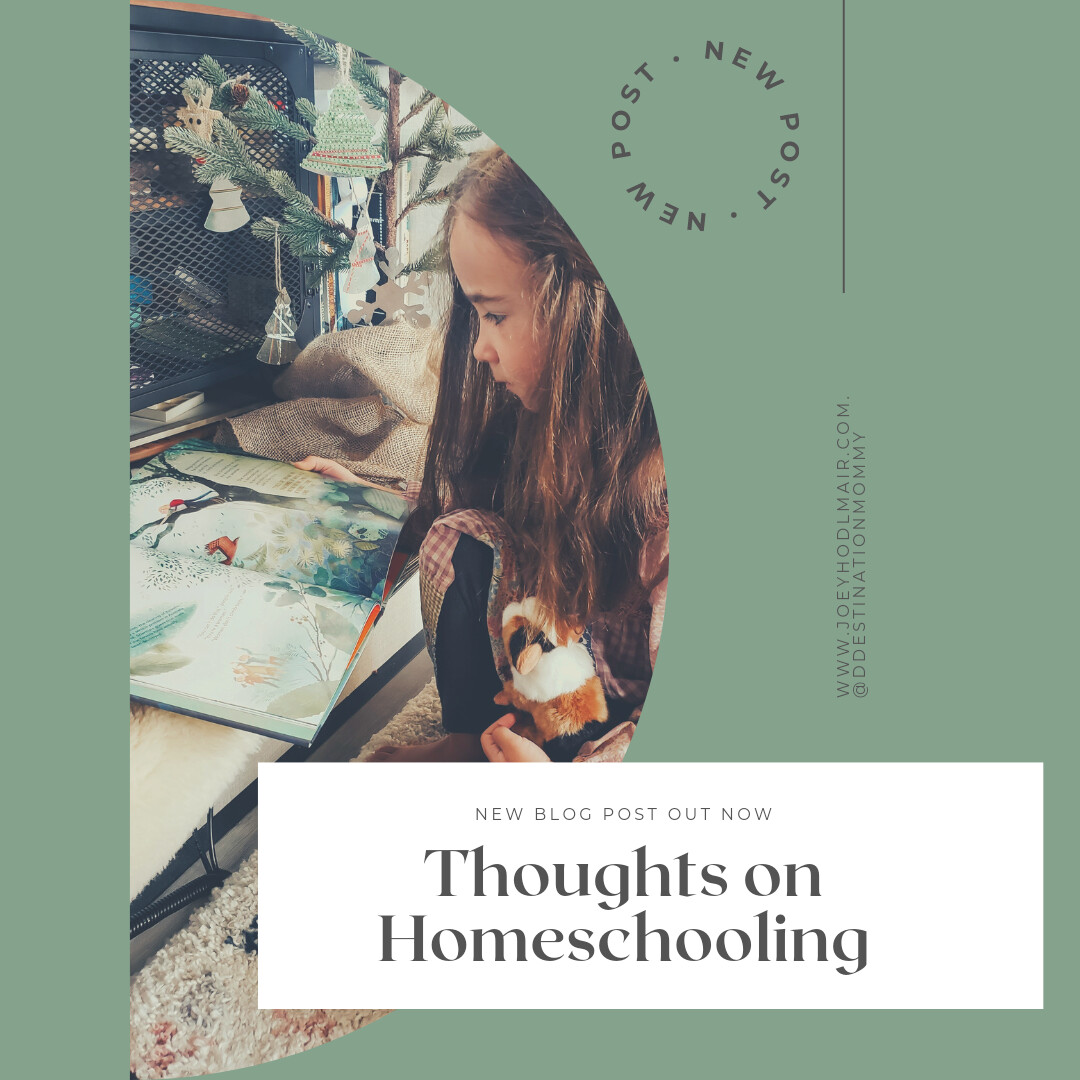 Thoughts on Homeschooling 