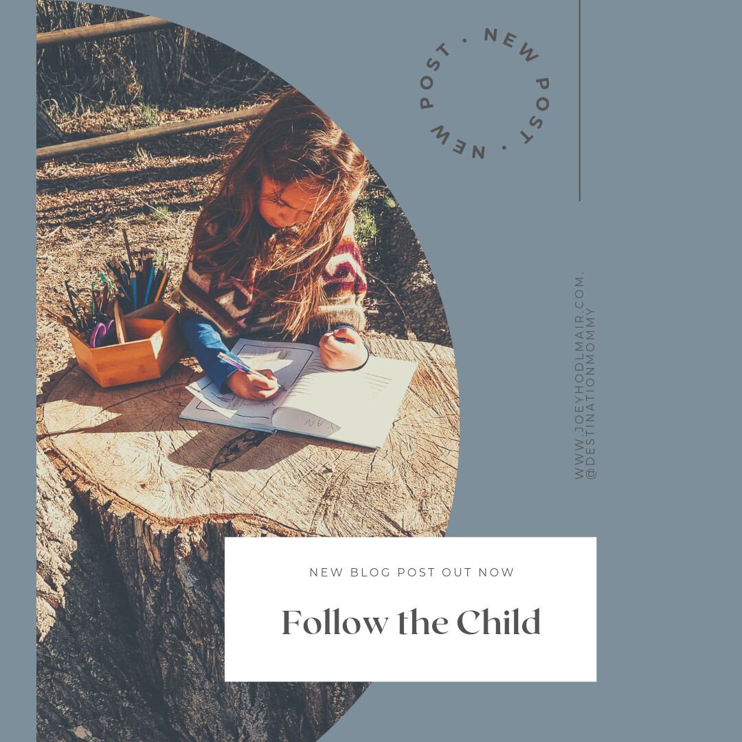 Follow the Child & Educational Resources 