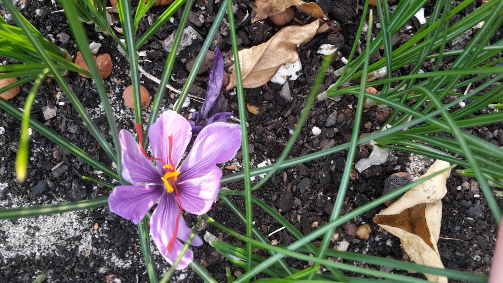 Challenge Yourself to do Something a Litte Quirky