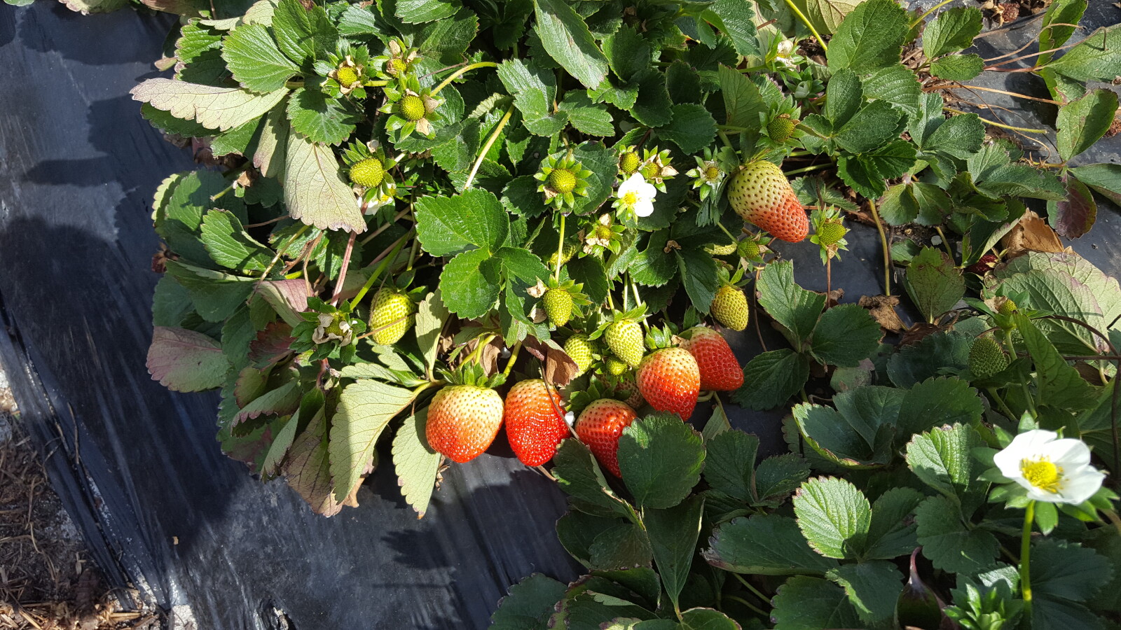 Pretty Neat PicNic Seats and Oh That Sand !