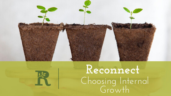 Reconnect: Choosing Internal Growth