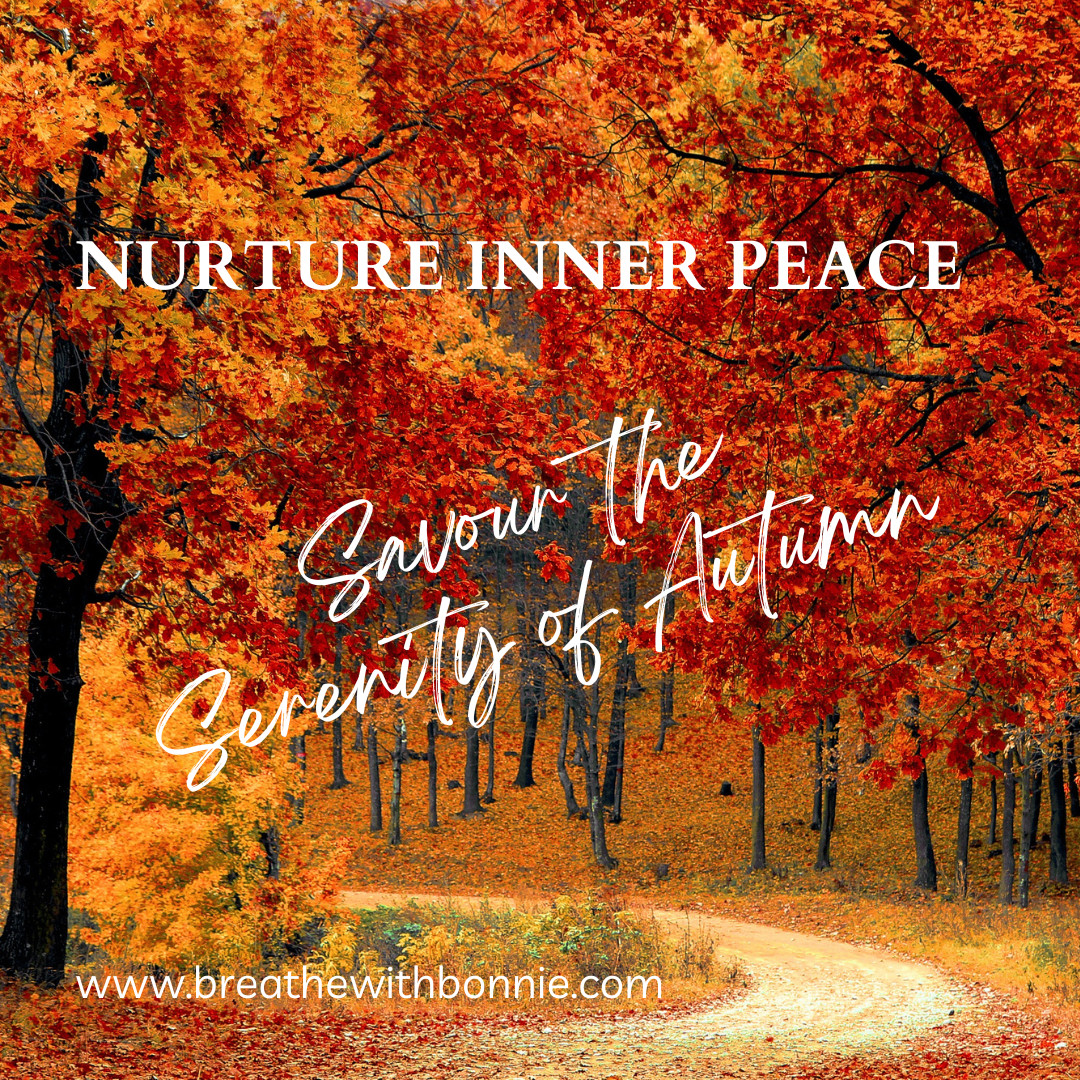 Nurture Inner Peace and Savour the Serenity of Autumn