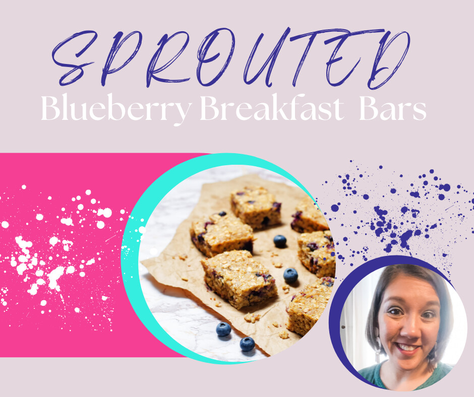 Sprouted Blueberry Breakfast Bars: THM E